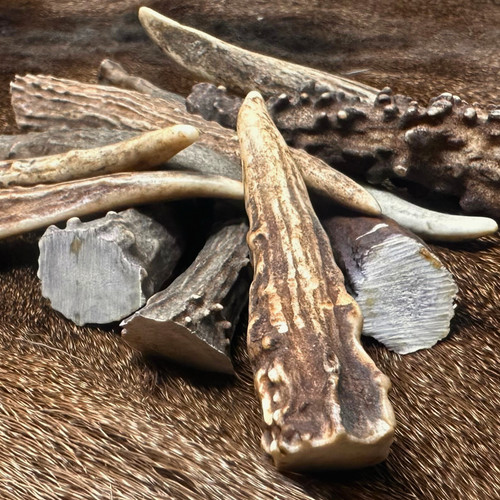 Pack med deer antler - med.,